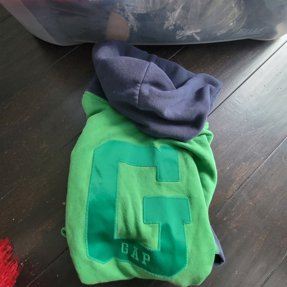 Gap sweatshirt hoodie